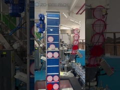 Automatische Maschine zum Abdecken und Füllen von Pickeln und Soßen