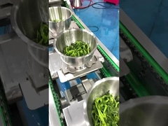 Verpackungsmaschine für Wildgemüse aus Edelstahl